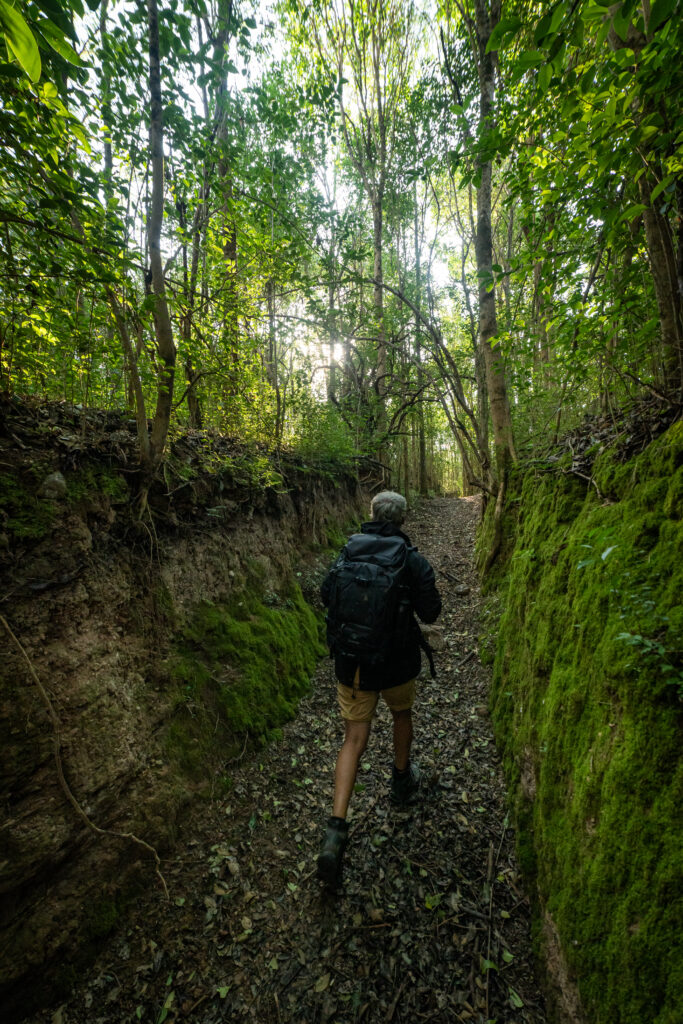 SANTA TERESA NATURAL GLAMP