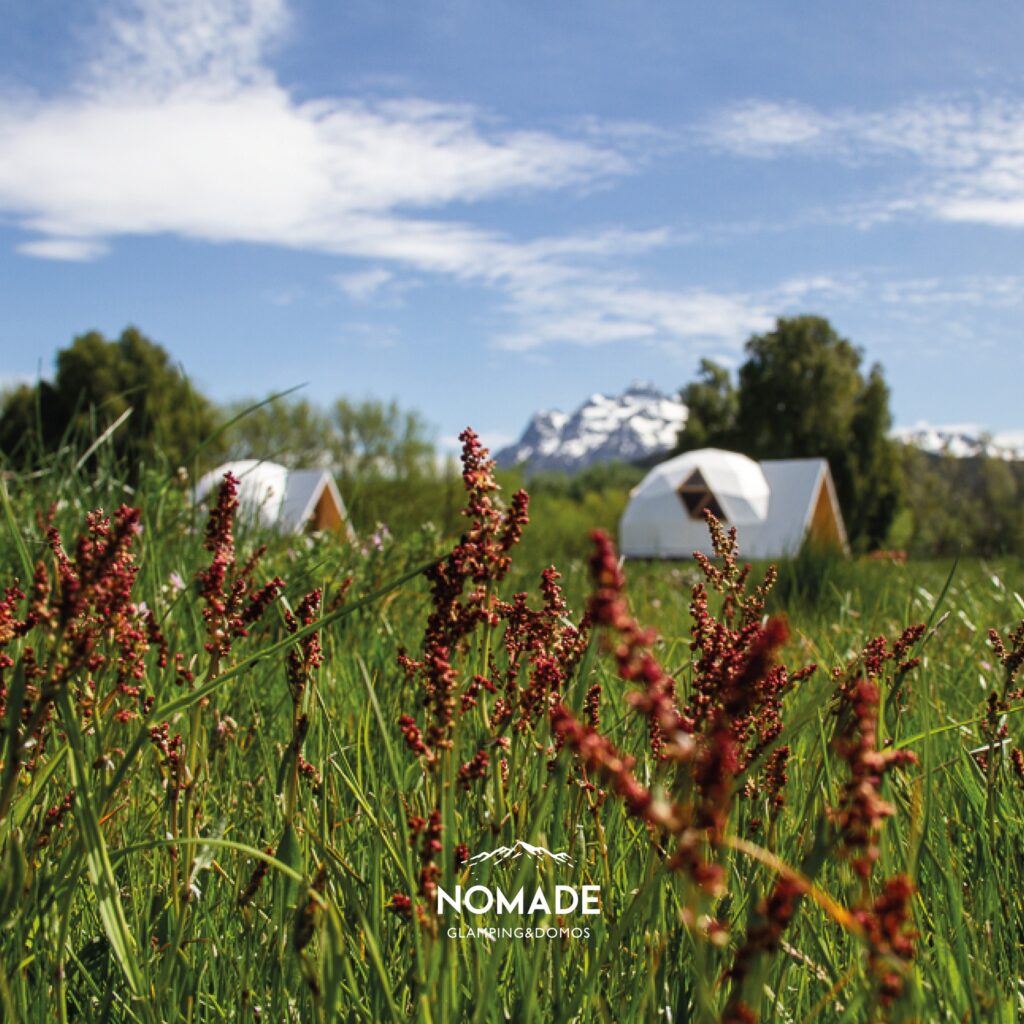 Nomade Glamping & Domos