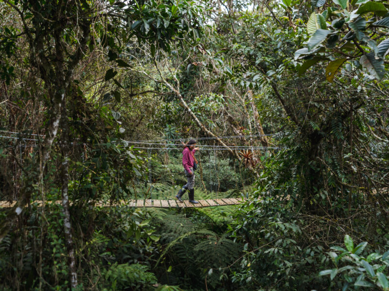 Ulcumano Ecolodge