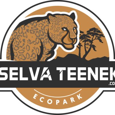 Hotel Selva Teenek