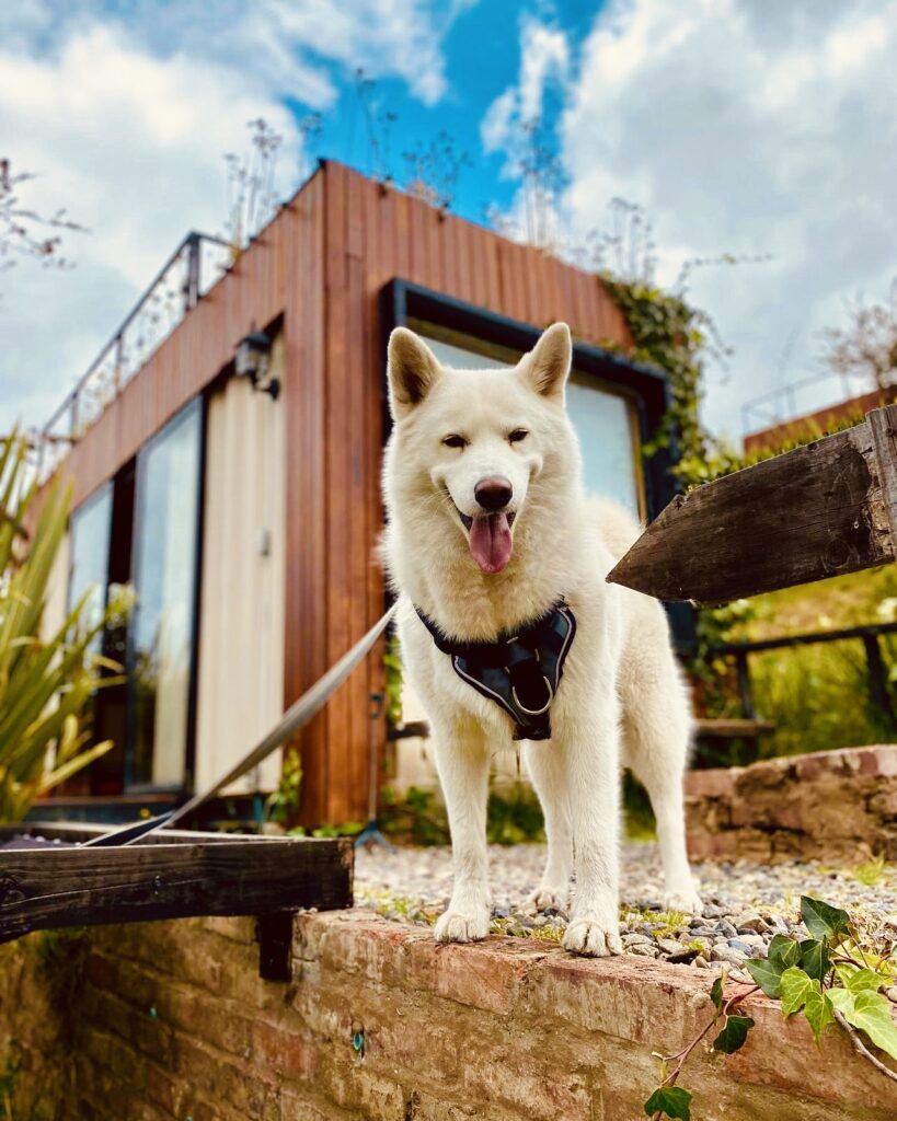 GLAMPING EN GUATAVITA